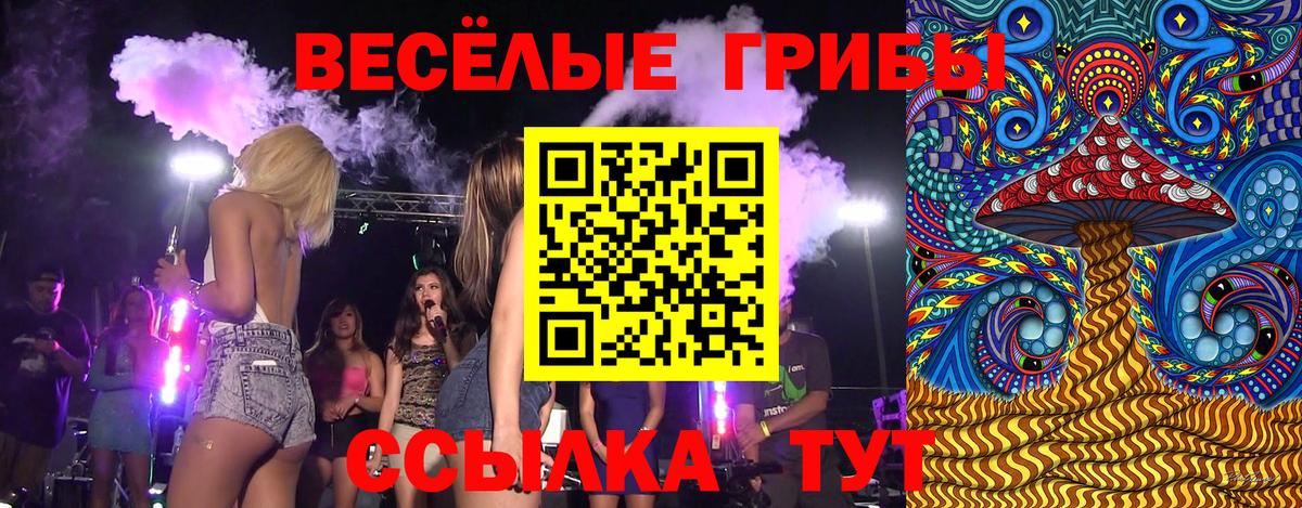 Псилоцибиновые грибы прущие грибы  наркота  Вход с VPN  Тейково  Галлюциногенные грибы Psilocybe 